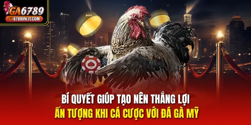 Bí quyết giúp tạo nên thắng lợi ấn tượng khi cá cược với đá gà Mỹ
