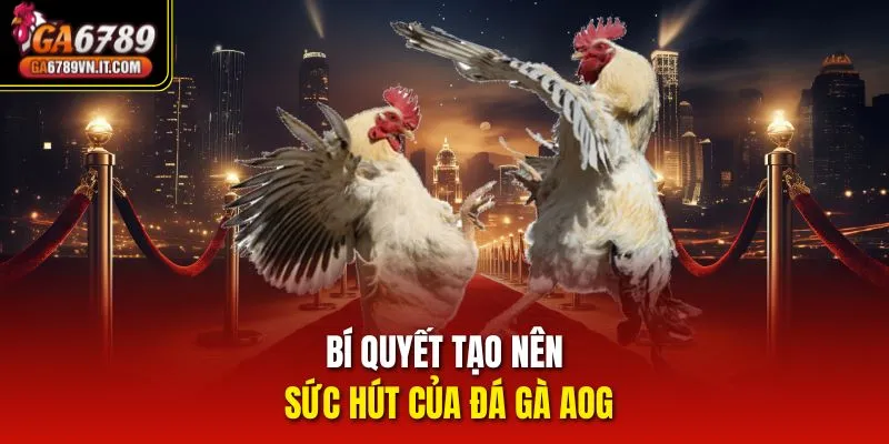 Bí quyết tạo nên sức hút của Đá Gà AOG