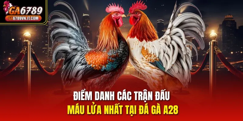 Điểm danh các trận đấu máu lửa nhất tại đá gà A28