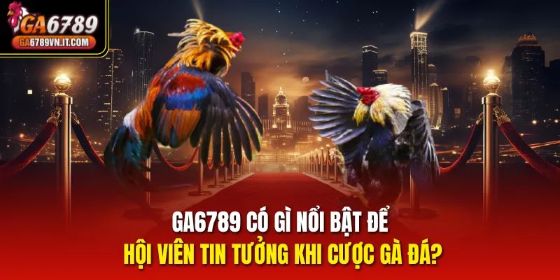 Ga6789 có gì nổi bật để hội viên tin tưởng khi cược gà đá?