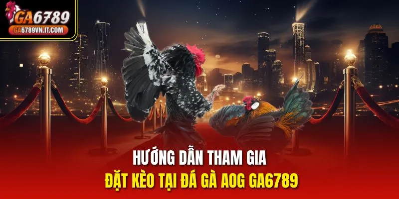 Hướng dẫn tham gia đặt kèo tại Đá Gà AOG ga6789