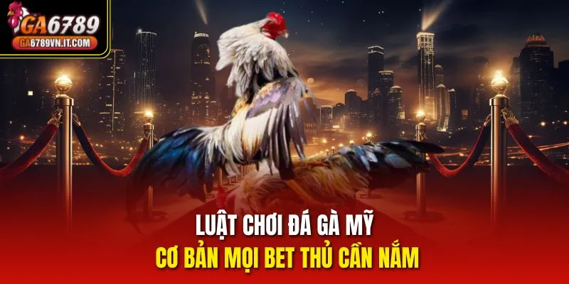 Luật chơi đá gà Mỹ cơ bản mọi bet thủ cần nắm