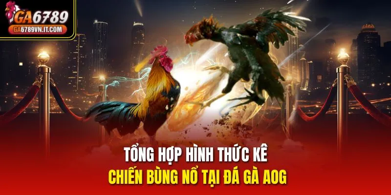 Tổng hợp hình thức kê chiến bùng nổ tại Đá Gà AOG