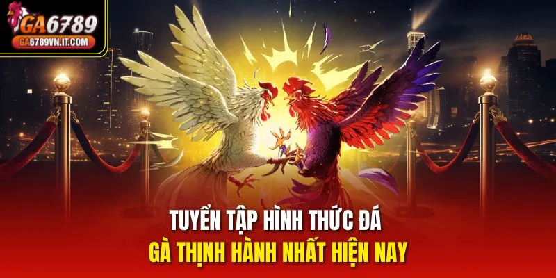 Tuyển tập hình thức Đá Gà thịnh hành nhất hiện nay