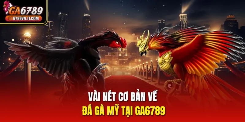 Vài nét cơ bản về đá gà Mỹ tại Ga6789